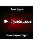 Хардинг Райан - Проявка пленки