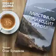 Постер книги Мистфаль приходит утром