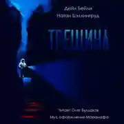 Постер книги Трещина