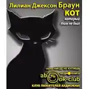 Постер книги Кот, который там не был