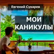 Постер книги Мои каникулы