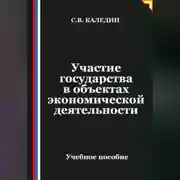 Постер книги Участие государства в объектах экономической деятельности