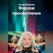 Постер книги Форсаж просветления