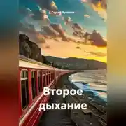 Постер книги Второе дыхание