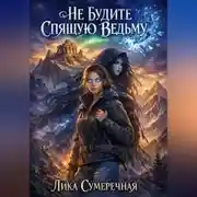 Постер книги Не будите спящую ведьму