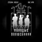 Постер книги Молодые волшебники