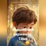 Постер книги Волшебный кармашек. Тёма.