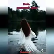 Постер книги Ночь кровавой луны