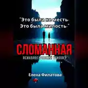 Постер книги Сломанная