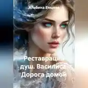 Постер книги Реставрация душ. Василиса. Дорога домой.