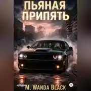 Постер книги Пьяная Припять