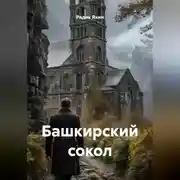 Постер книги Башкирский сокол