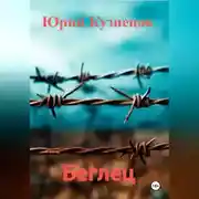 Постер книги Беглец