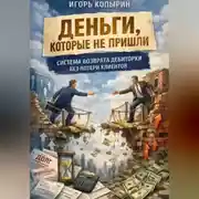 Постер книги Деньги которые не пришли.