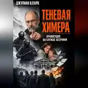 Постер книги Теневая химера: правосудие на службе безумия