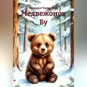 Постер книги Медвежонок Бу