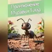 Постер книги Приключение муравья Тима