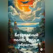Постер книги Безопасный полёт, туда и обратно