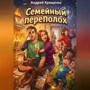Постер книги Семейный переполох