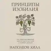 Постер книги Принципы изобилия. Как правильное мышление помогает достигать целей и исполнять желания