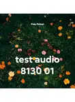 Polu Poluyt - test audio 8130 01