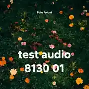 Постер книги test audio 8130 01