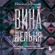 Постер книги ВинАдельня. Беседы с духовными учителями о чувстве вины, кризисах и развитии