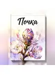 Алина Вербная - Почка