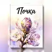 Постер книги Почка