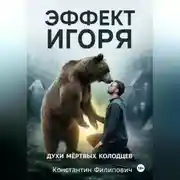 Постер книги ЭФФЕКТ ИГОРЯ. ДУХИ МЕРТВЫХ КОЛОДЦЕВ