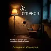 Постер книги За стеной