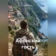 Постер книги Афонский гость