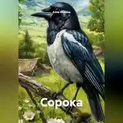 Постер книги Сорока