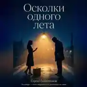 Постер книги Осколки одного лета