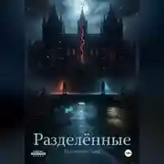 Постер книги Разделённые
