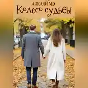 Постер книги Колесо судьбы