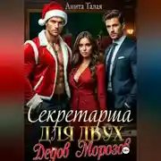 Постер книги Секретарша для двух Дедов Морозов