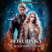 Постер книги Невидимка в академии магии