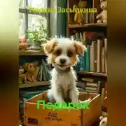 Постер книги Подарок