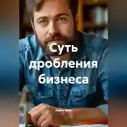 Постер книги Суть дробления бизнеса