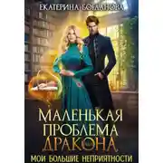 Постер книги Маленькая проблема дракона, или Мои большие неприятности