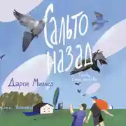 Постер книги Сальто назад