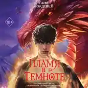 Постер книги Пламя в темноте