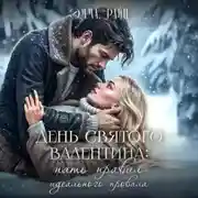 Постер книги День святого Валентина: пять правил идеального провала