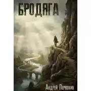 Постер книги Бродяга