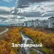 Постер книги Заполярный