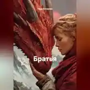 Постер книги Братья