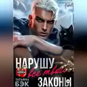 Постер книги Нарушу все твои законы