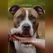 Постер книги От одиночества к дружбе
