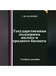 Сергей Каледин - Государственная поддержка малого и среднего предпринимательства